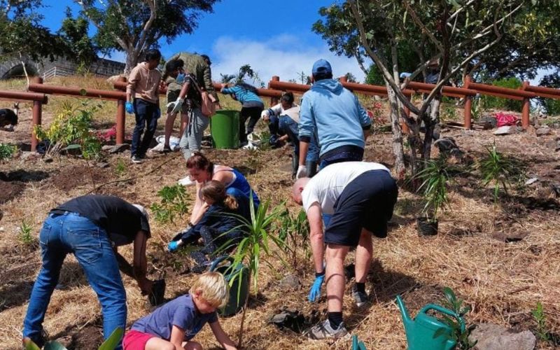 Mauritius celebrates World Environment Day